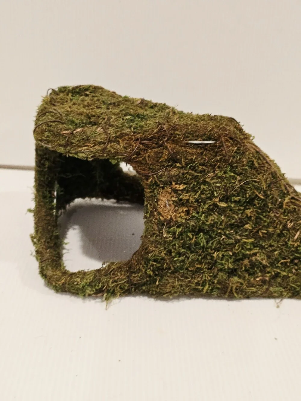Galapagos Sapa Corner Hide Terrarium Hideaway